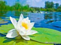 济南简通易证教育科技有限公司