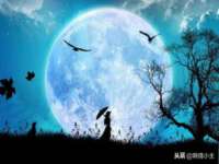 济南简通易证教育科技有限公司