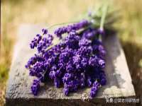 济南简通易证教育科技有限公司