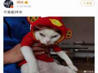 济南简通易证教育科技有限公司