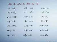 济南简通易证教育科技有限公司